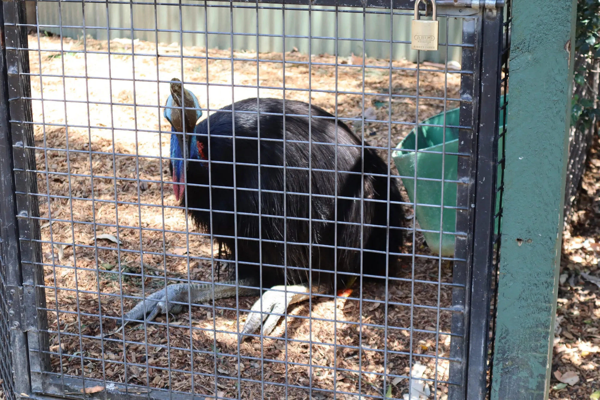엄청 늦게 쓰는 호주 시드니 신혼여행기 - 2일차