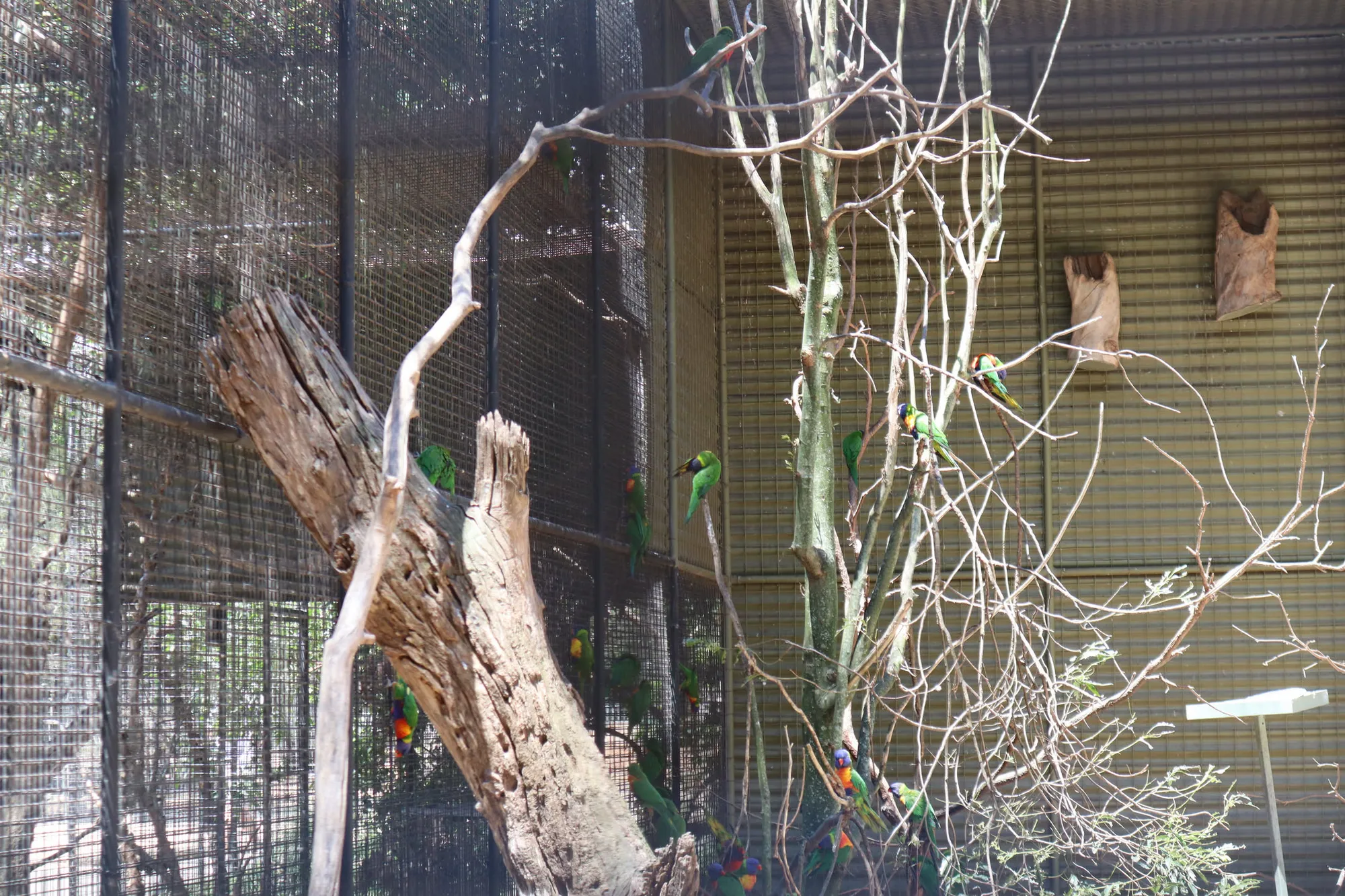 엄청 늦게 쓰는 호주 시드니 신혼여행기 - 2일차