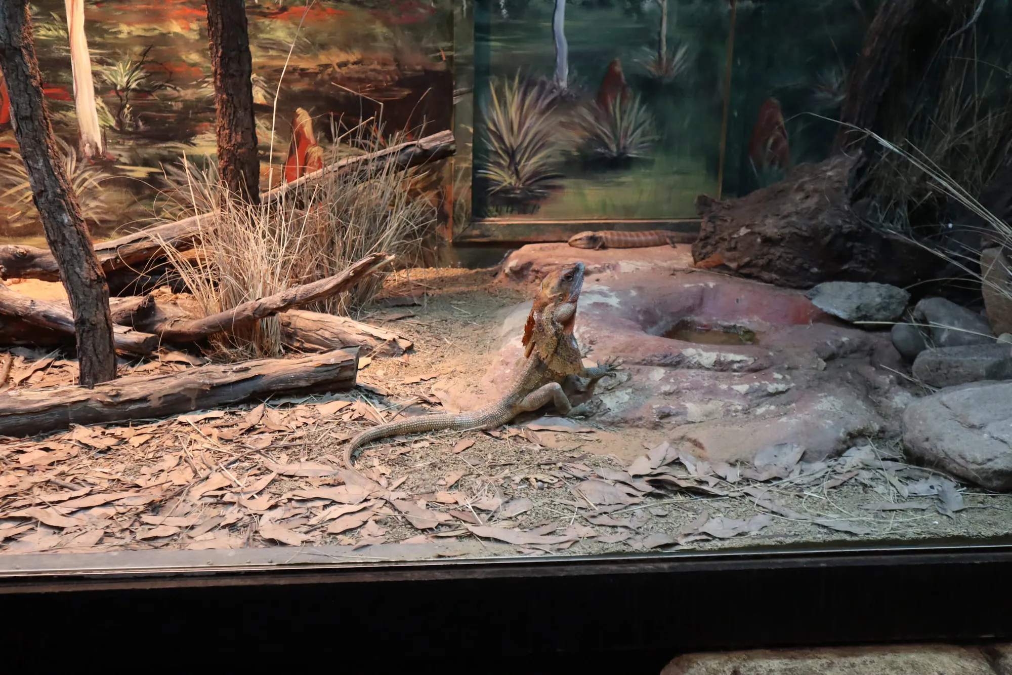 엄청 늦게 쓰는 호주 시드니 신혼여행기 - 2일차