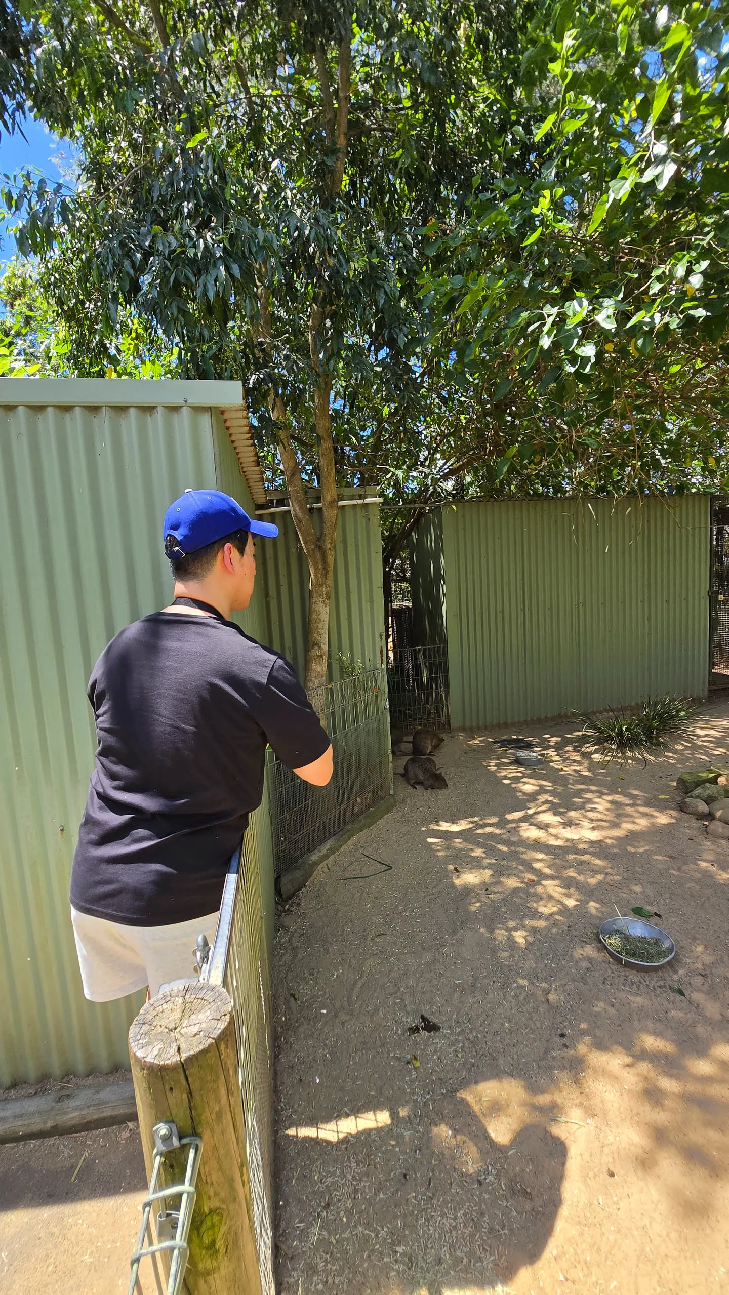 엄청 늦게 쓰는 호주 시드니 신혼여행기 - 2일차