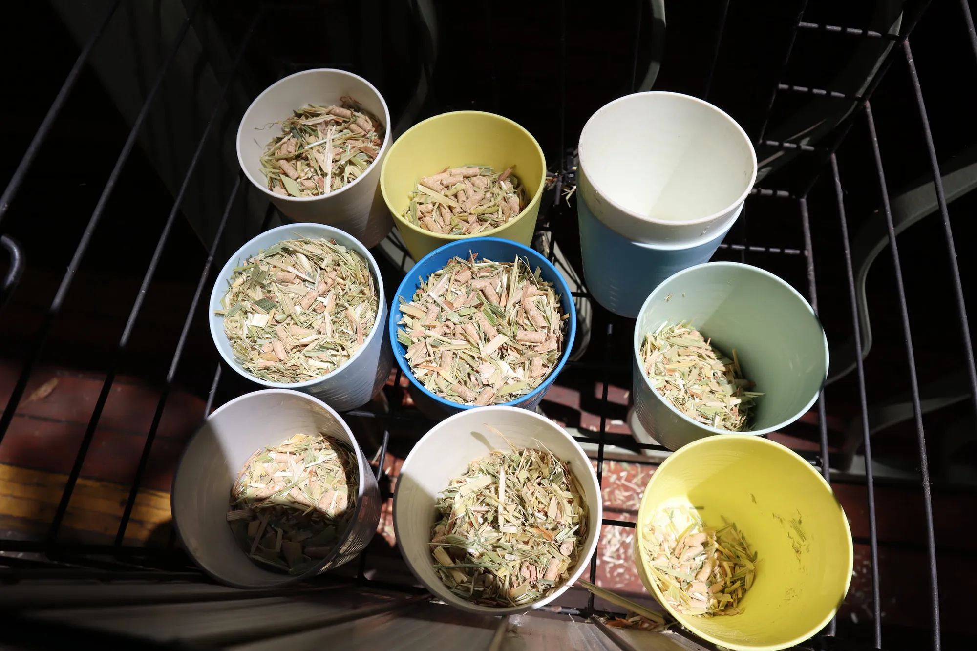 엄청 늦게 쓰는 호주 시드니 신혼여행기 - 2일차