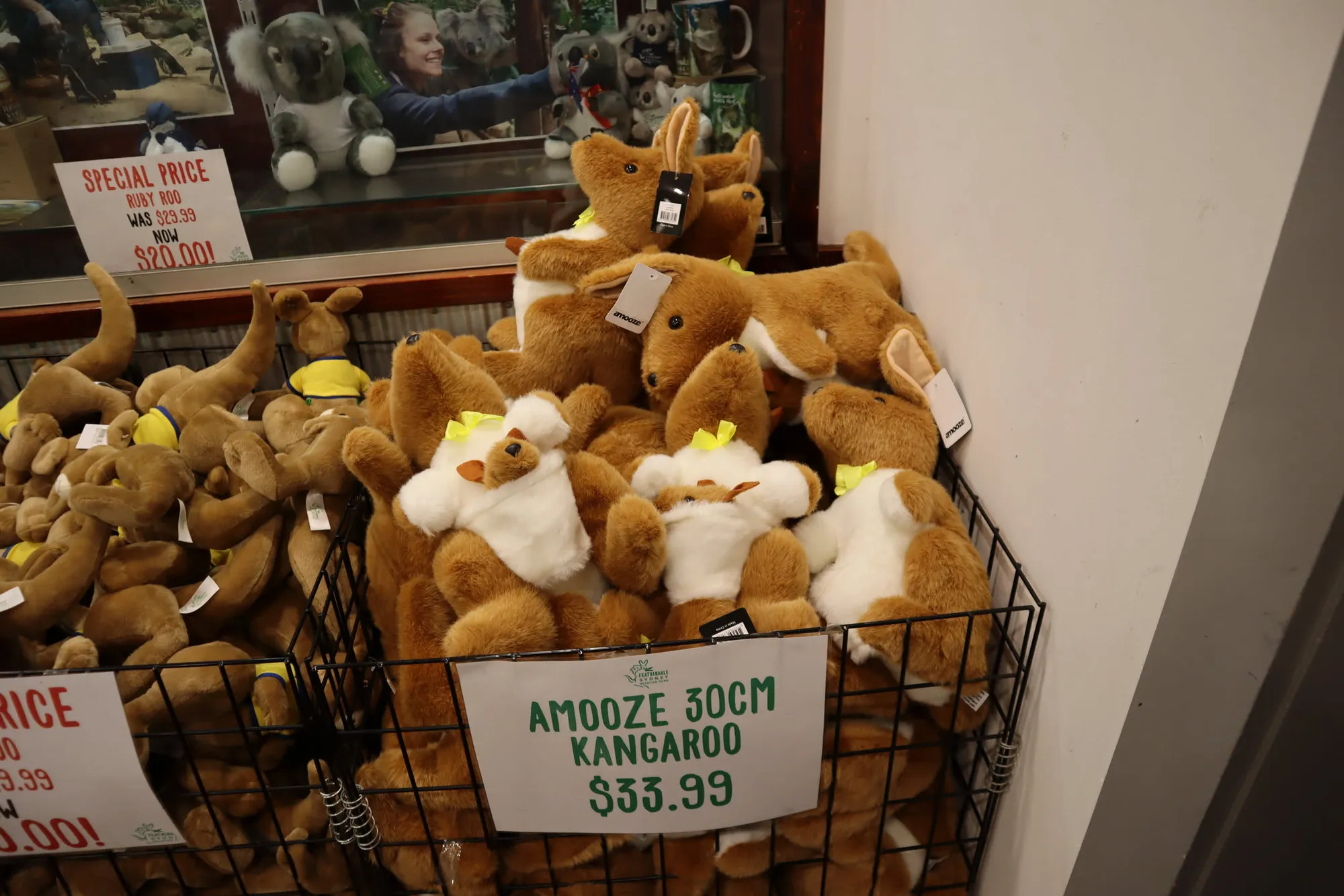 엄청 늦게 쓰는 호주 시드니 신혼여행기 - 2일차