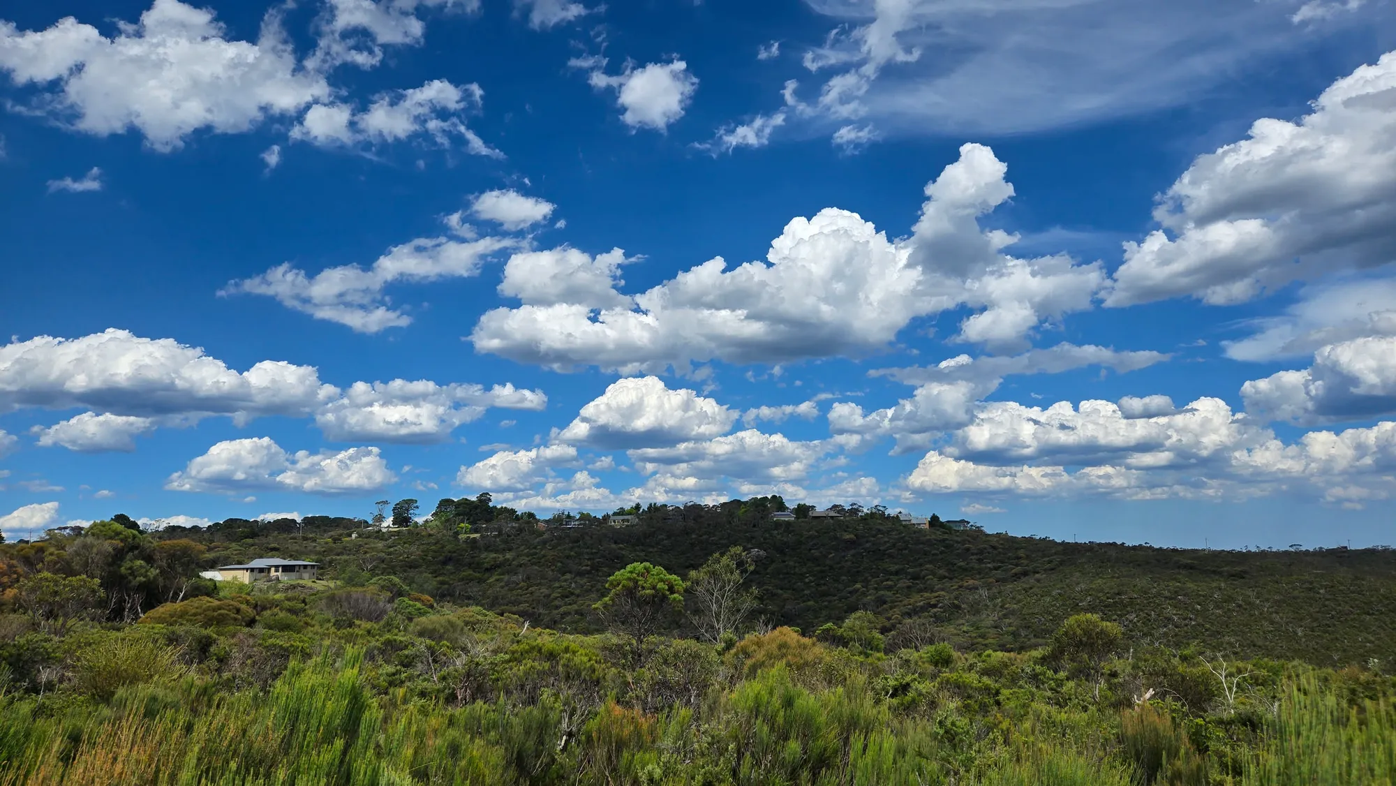 엄청 늦게 쓰는 호주 시드니 신혼여행기 - 2일차
