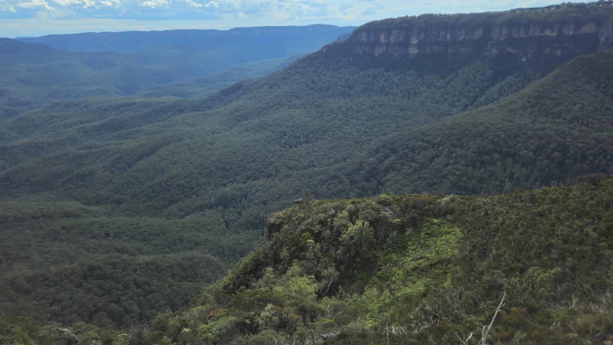 엄청 늦게 쓰는 호주 시드니 신혼여행기 - 2일차