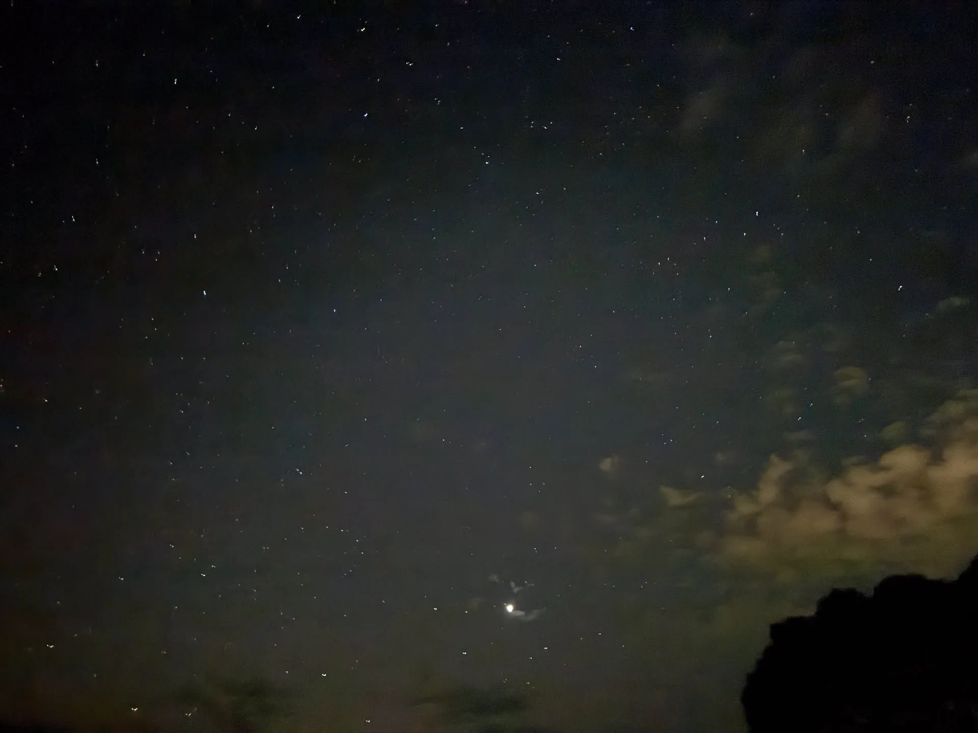 엄청 늦게 쓰는 호주 시드니 신혼여행기 - 2일차