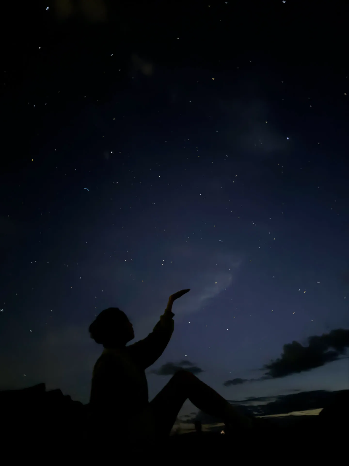 엄청 늦게 쓰는 호주 시드니 신혼여행기 - 2일차