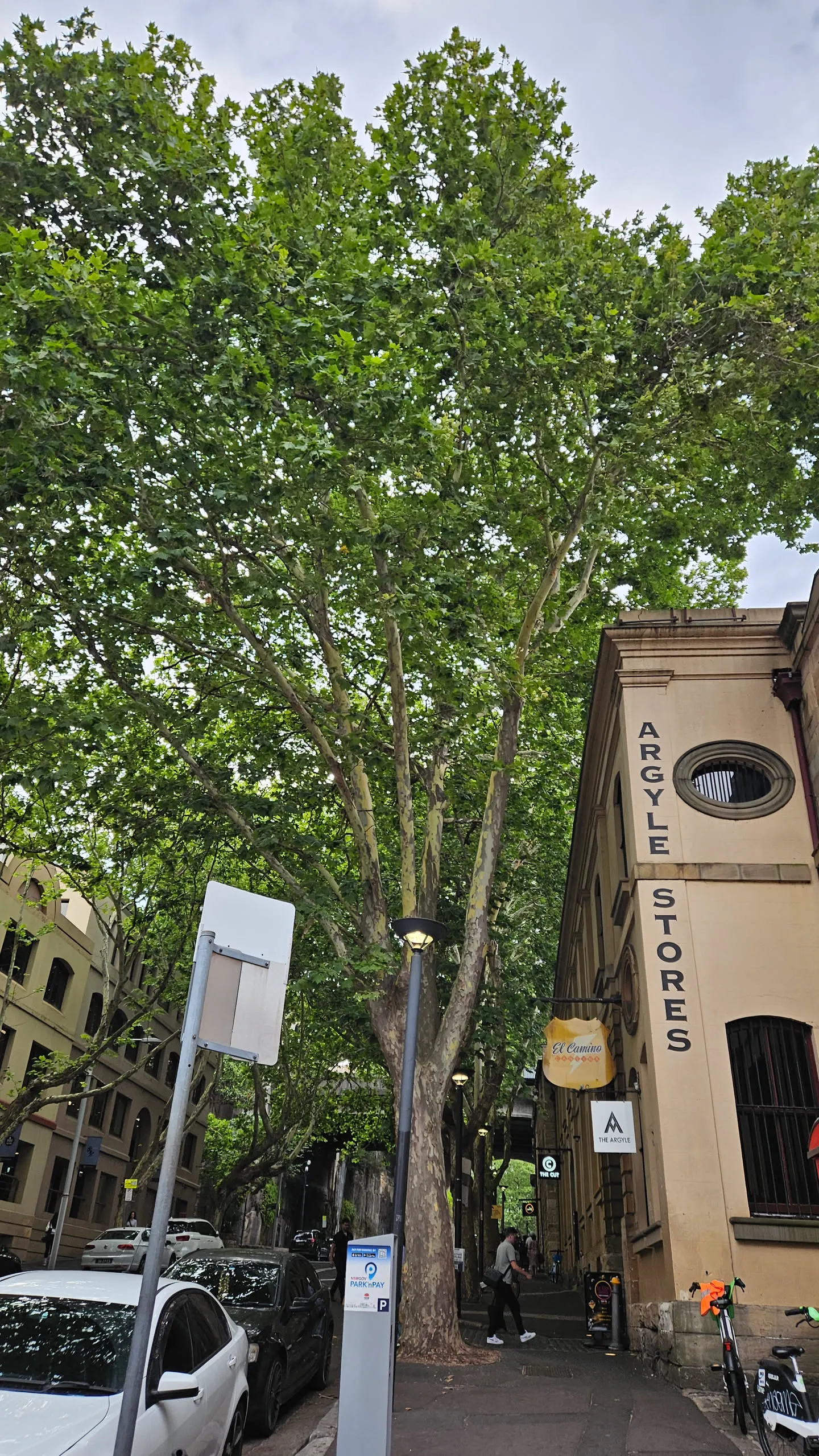 엄청 늦게 쓰는 호주 시드니 신혼여행기 - 3일차