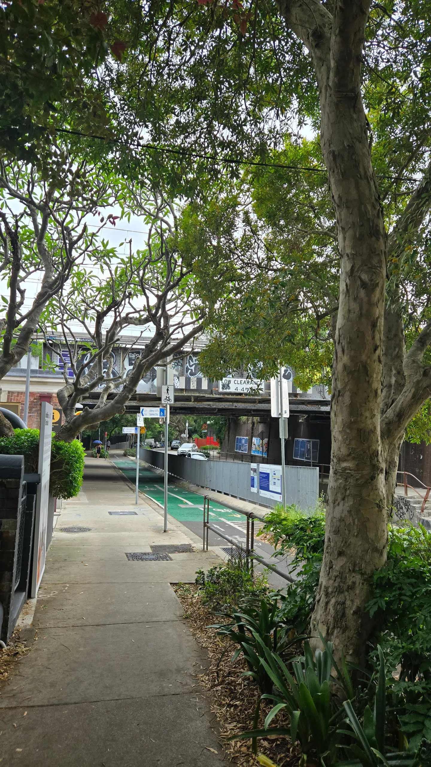 엄청 늦게 쓰는 호주 시드니 신혼여행기 - 4일차